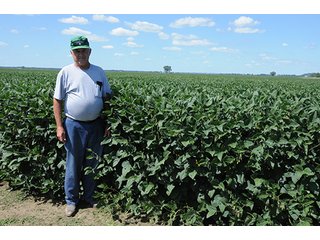 Property photo 2 - LAND AUCTION - 8,638+/- ACRES OFFERED IN 46 TRACTS IN MERCER & FULTON COUNTIES, ILLINOIS