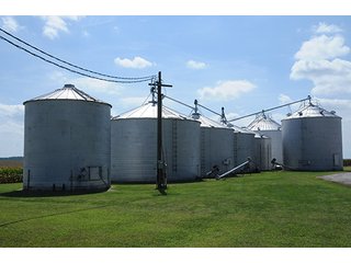 Property photo 6 - LAND AUCTION - 8,638+/- ACRES OFFERED IN 46 TRACTS IN MERCER & FULTON COUNTIES, ILLINOIS