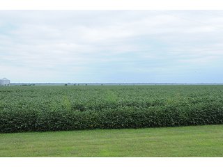Tract 30 - LAND AUCTION - 8,638+/- ACRES OFFERED IN 46 TRACTS IN MERCER & FULTON COUNTIES, ILLINOIS