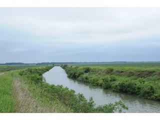 Main Canal to pump station - LAND AUCTION - 8,638+/- ACRES OFFERED IN 46 TRACTS IN MERCER & FULTON COUNTIES, ILLINOIS