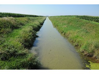Main ditch - LAND AUCTION - 8,638+/- ACRES OFFERED IN 46 TRACTS IN MERCER & FULTON COUNTIES, ILLINOIS