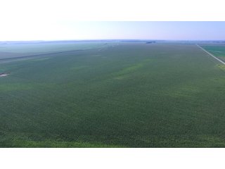 Property photo 12 - LAND AUCTION - 8,638+/- ACRES OFFERED IN 46 TRACTS IN MERCER & FULTON COUNTIES, ILLINOIS
