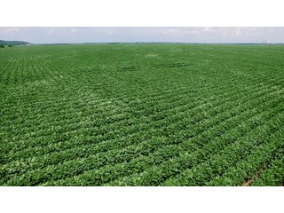 Property photo 14 - LAND AUCTION - 8,638+/- ACRES OFFERED IN 46 TRACTS IN MERCER & FULTON COUNTIES, ILLINOIS