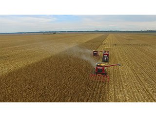 Tract 17 - LAND AUCTION - 8,638+/- ACRES OFFERED IN 46 TRACTS IN MERCER & FULTON COUNTIES, ILLINOIS
