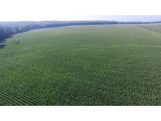 Tract 10 - LAND AUCTION - 8,638+/- ACRES OFFERED IN 46 TRACTS IN MERCER & FULTON COUNTIES, ILLINOIS