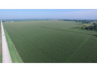 Tract 7 - LAND AUCTION - 8,638+/- ACRES OFFERED IN 46 TRACTS IN MERCER & FULTON COUNTIES, ILLINOIS
