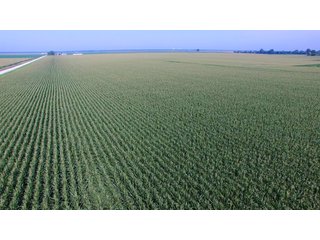 Tracts 16 & 17 - LAND AUCTION - 8,638+/- ACRES OFFERED IN 46 TRACTS IN MERCER & FULTON COUNTIES, ILLINOIS