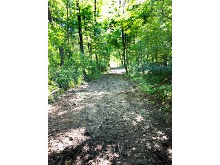 Property photo 1 - REAL ESTATE AUCTION - 129+/- ACRES IN 3 TRACTS IN ST. JOSEPH CO., MI