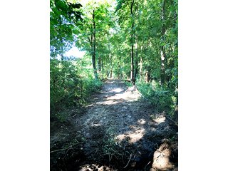 Property photo 6 - REAL ESTATE AUCTION - 129+/- ACRES IN 3 TRACTS IN ST. JOSEPH CO., MI