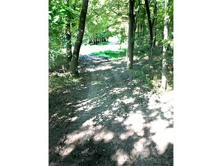 Property photo 5 - REAL ESTATE AUCTION - 129+/- ACRES IN 3 TRACTS IN ST. JOSEPH CO., MI