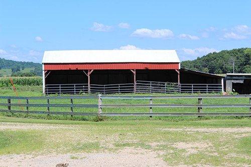 Property photo 8 - REAL ESTATE AUCTION - 296.88+/- ACRES IN 8 TRACTS IN RICHLAND COUNTY, WISCONSIN