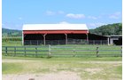 Property photo 8 - REAL ESTATE AUCTION - 296.88+/- ACRES IN 8 TRACTS IN RICHLAND COUNTY, WISCONSIN