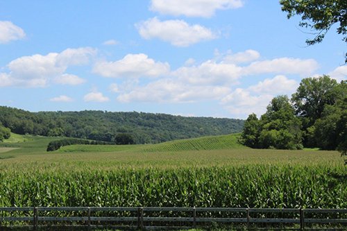 Property photo 5 - REAL ESTATE AUCTION - 296.88+/- ACRES IN 8 TRACTS IN RICHLAND COUNTY, WISCONSIN