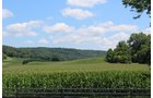 Property photo 5 - REAL ESTATE AUCTION - 296.88+/- ACRES IN 8 TRACTS IN RICHLAND COUNTY, WISCONSIN