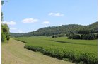 Property photo 4 - REAL ESTATE AUCTION - 296.88+/- ACRES IN 8 TRACTS IN RICHLAND COUNTY, WISCONSIN