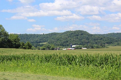 Property photo 3 - REAL ESTATE AUCTION - 296.88+/- ACRES IN 8 TRACTS IN RICHLAND COUNTY, WISCONSIN