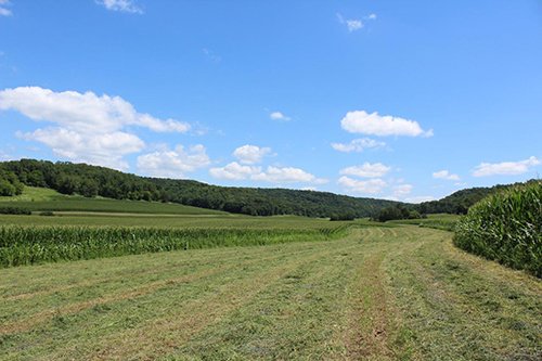 Property photo 6 - REAL ESTATE AUCTION - 296.88+/- ACRES IN 8 TRACTS IN RICHLAND COUNTY, WISCONSIN