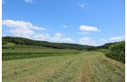 Property photo 6 - REAL ESTATE AUCTION - 296.88+/- ACRES IN 8 TRACTS IN RICHLAND COUNTY, WISCONSIN