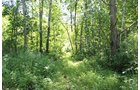 Property photo 2 - REAL ESTATE AUCTION - 296.88+/- ACRES IN 8 TRACTS IN RICHLAND COUNTY, WISCONSIN