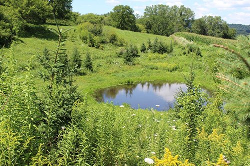 Property photo 1 - REAL ESTATE AUCTION - 296.88+/- ACRES IN 8 TRACTS IN RICHLAND COUNTY, WISCONSIN