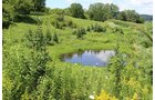 Property photo 1 - REAL ESTATE AUCTION - 296.88+/- ACRES IN 8 TRACTS IN RICHLAND COUNTY, WISCONSIN