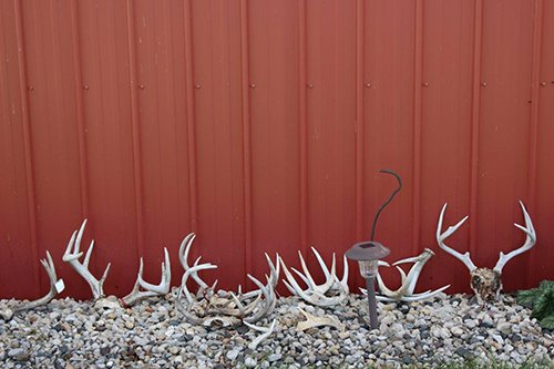 Property photo 21 - REAL ESTATE AUCTION - 296.88+/- ACRES IN 8 TRACTS IN RICHLAND COUNTY, WISCONSIN