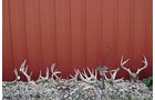 Property photo 21 - REAL ESTATE AUCTION - 296.88+/- ACRES IN 8 TRACTS IN RICHLAND COUNTY, WISCONSIN