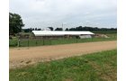 Property photo 15 - REAL ESTATE & PERSONAL PROPERTY AUCTION - 80+/- ACRES OFFERED IN 7 TRACTS IN VAN BUREN COUNTY, MI