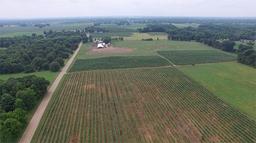 Property photo 2 - REAL ESTATE & PERSONAL PROPERTY AUCTION - 80+/- ACRES OFFERED IN 7 TRACTS IN VAN BUREN COUNTY, MI