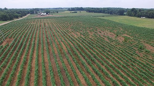 Property photo 3 - REAL ESTATE & PERSONAL PROPERTY AUCTION - 80+/- ACRES OFFERED IN 7 TRACTS IN VAN BUREN COUNTY, MI