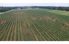Property photo 3 - REAL ESTATE & PERSONAL PROPERTY AUCTION - 80+/- ACRES OFFERED IN 7 TRACTS IN VAN BUREN COUNTY, MI
