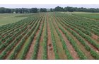 Property photo 4 - REAL ESTATE & PERSONAL PROPERTY AUCTION - 80+/- ACRES OFFERED IN 7 TRACTS IN VAN BUREN COUNTY, MI
