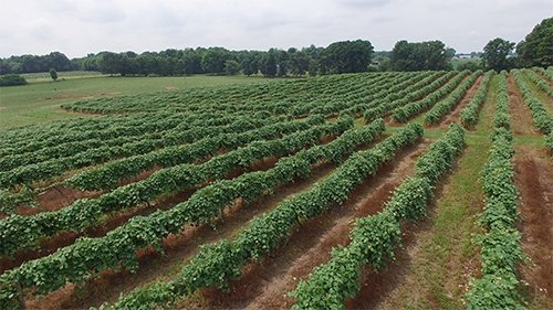 Property photo 6 - REAL ESTATE & PERSONAL PROPERTY AUCTION - 80+/- ACRES OFFERED IN 7 TRACTS IN VAN BUREN COUNTY, MI