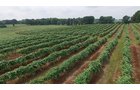 Property photo 6 - REAL ESTATE & PERSONAL PROPERTY AUCTION - 80+/- ACRES OFFERED IN 7 TRACTS IN VAN BUREN COUNTY, MI