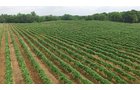 Property photo 7 - REAL ESTATE & PERSONAL PROPERTY AUCTION - 80+/- ACRES OFFERED IN 7 TRACTS IN VAN BUREN COUNTY, MI