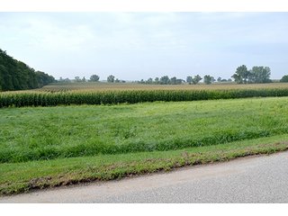 Property photo 35 - LAND AUCTION - 622.9+/- ACRES OFFERED IN 9 TRACTS IN JASPER COUNTY, INDIANA