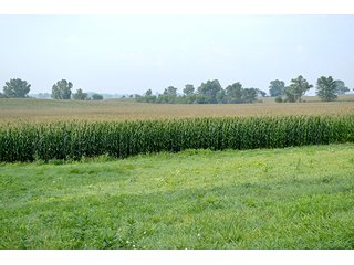 Property photo 20 - LAND AUCTION - 622.9+/- ACRES OFFERED IN 9 TRACTS IN JASPER COUNTY, INDIANA