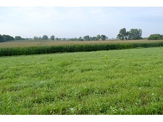 Property photo 1 - LAND AUCTION - 622.9+/- ACRES OFFERED IN 9 TRACTS IN JASPER COUNTY, INDIANA