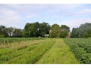 Property photo 10 - LAND AUCTION - 622.9+/- ACRES OFFERED IN 9 TRACTS IN JASPER COUNTY, INDIANA