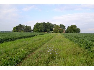 Property photo 30 - LAND AUCTION - 622.9+/- ACRES OFFERED IN 9 TRACTS IN JASPER COUNTY, INDIANA