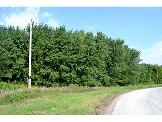 Property photo 3 - LAND AUCTION - 622.9+/- ACRES OFFERED IN 9 TRACTS IN JASPER COUNTY, INDIANA