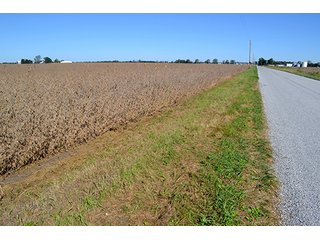 Property photo 8 - LAND AUCTION - 622.9+/- ACRES OFFERED IN 9 TRACTS IN JASPER COUNTY, INDIANA