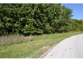 Property photo 43 - LAND AUCTION - 622.9+/- ACRES OFFERED IN 9 TRACTS IN JASPER COUNTY, INDIANA