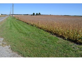 Property photo 34 - LAND AUCTION - 622.9+/- ACRES OFFERED IN 9 TRACTS IN JASPER COUNTY, INDIANA