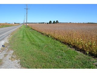 Property photo 12 - LAND AUCTION - 622.9+/- ACRES OFFERED IN 9 TRACTS IN JASPER COUNTY, INDIANA