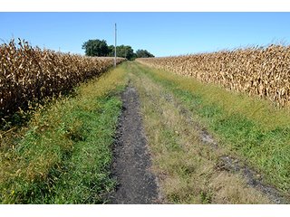 Property photo 42 - LAND AUCTION - 622.9+/- ACRES OFFERED IN 9 TRACTS IN JASPER COUNTY, INDIANA