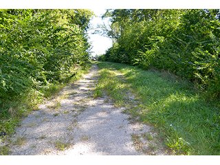 Property photo 28 - LAND AUCTION - 622.9+/- ACRES OFFERED IN 9 TRACTS IN JASPER COUNTY, INDIANA