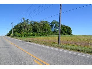 Property photo 25 - LAND AUCTION - 622.9+/- ACRES OFFERED IN 9 TRACTS IN JASPER COUNTY, INDIANA