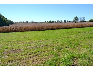 Property photo 18 - LAND AUCTION - 622.9+/- ACRES OFFERED IN 9 TRACTS IN JASPER COUNTY, INDIANA