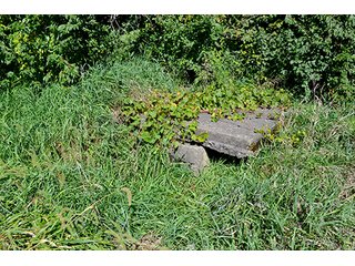Property photo 36 - LAND AUCTION - 622.9+/- ACRES OFFERED IN 9 TRACTS IN JASPER COUNTY, INDIANA